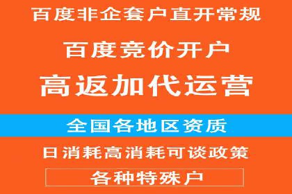 揭秘SEM代运营的成功要素与策略